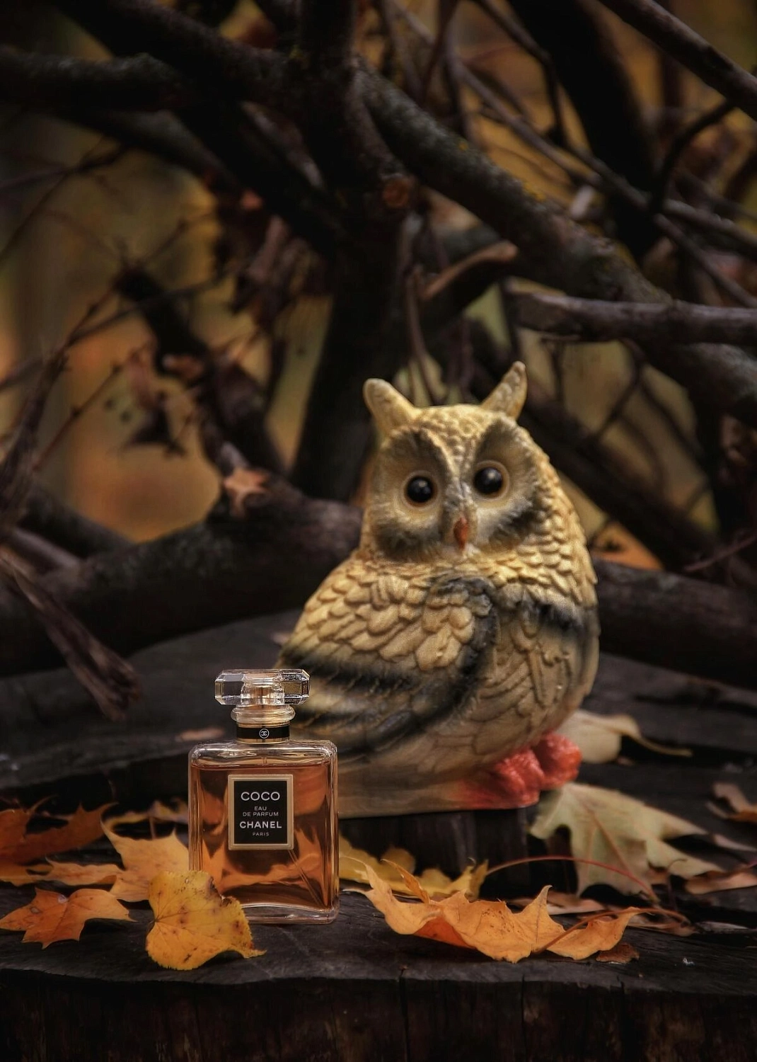 Chanel Coco
