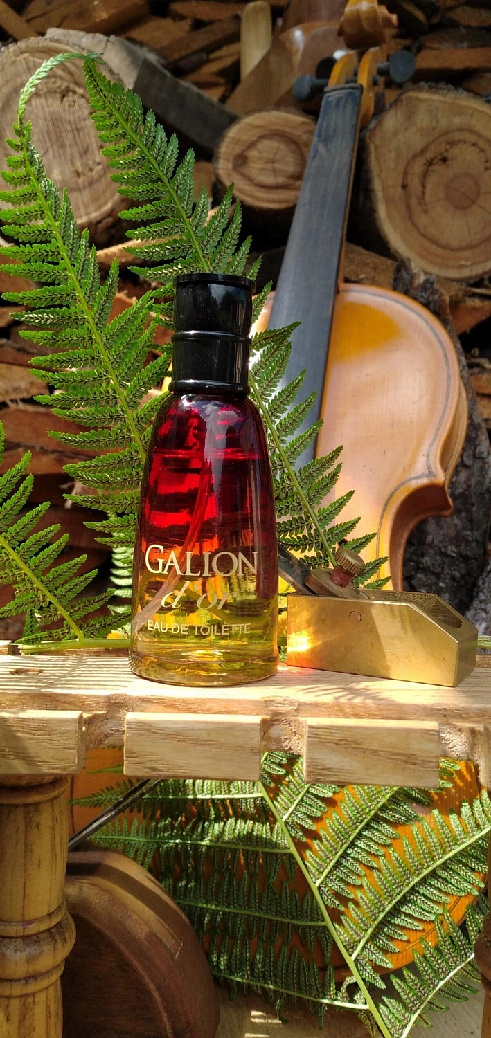 Novaya Zarya (Новая Заря) Галион (Galion d'or)