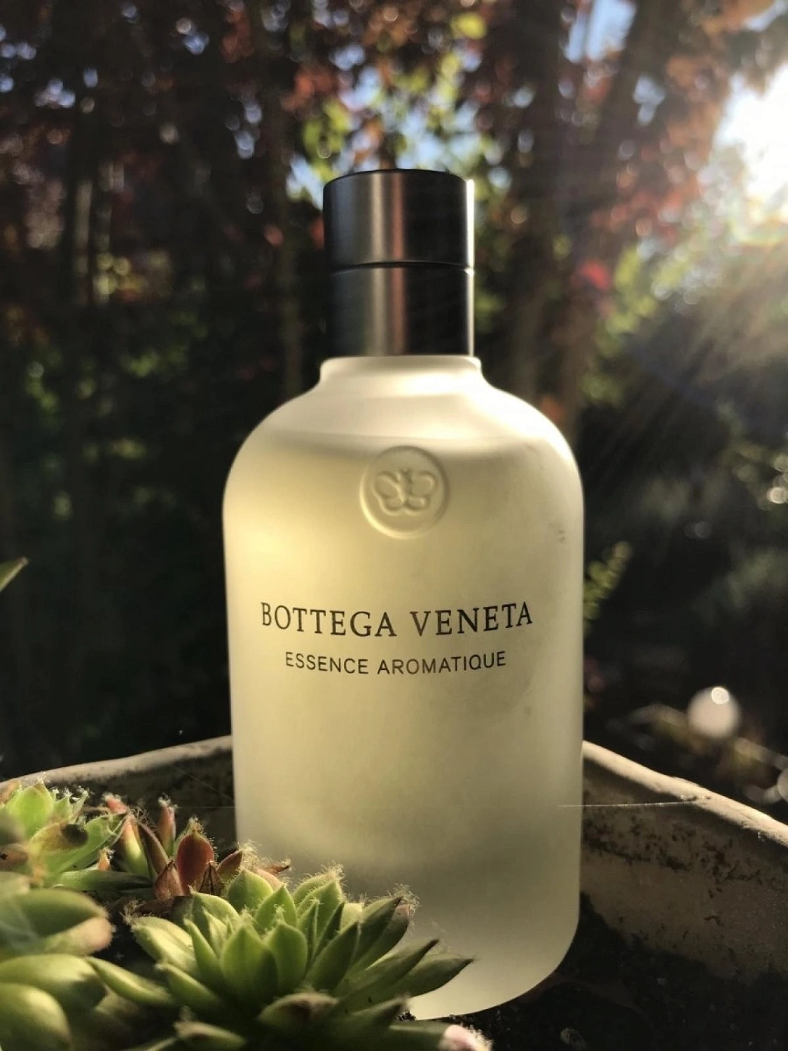 Bottega Veneta Essence Aromatique