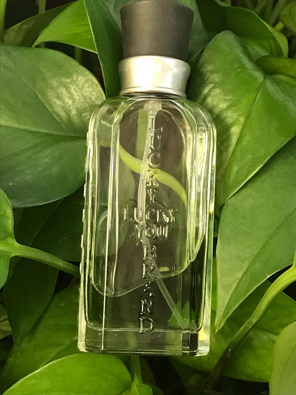 Lucky Brand Lucky You for Men