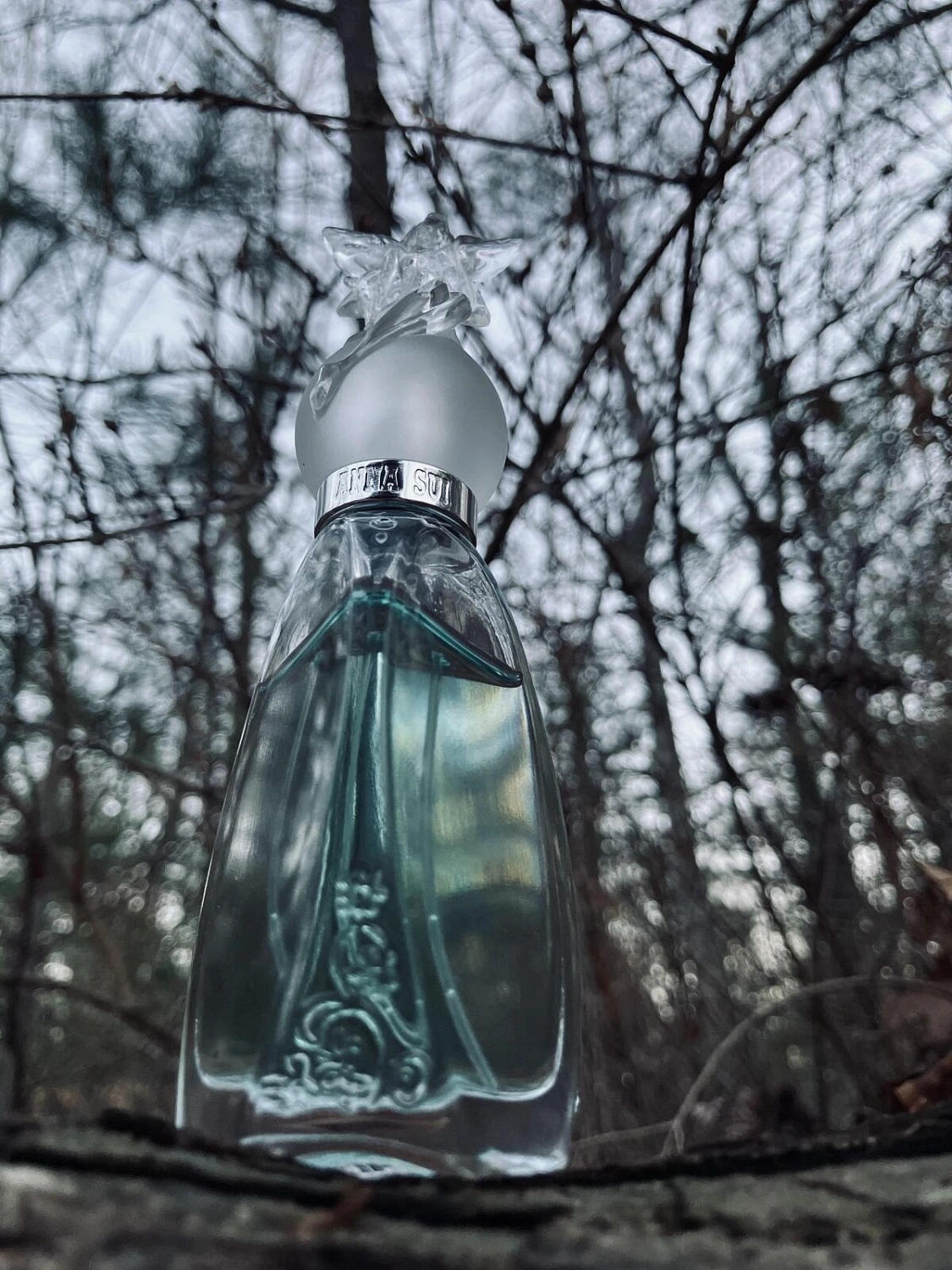 ANNA SUI Secret Wish