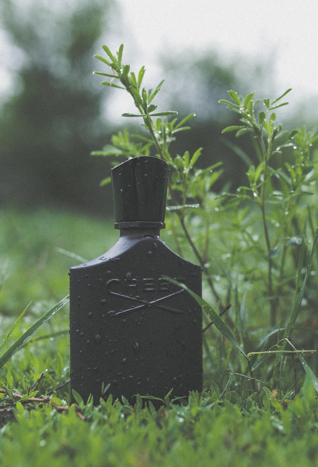 Creed Green Irish Tweed