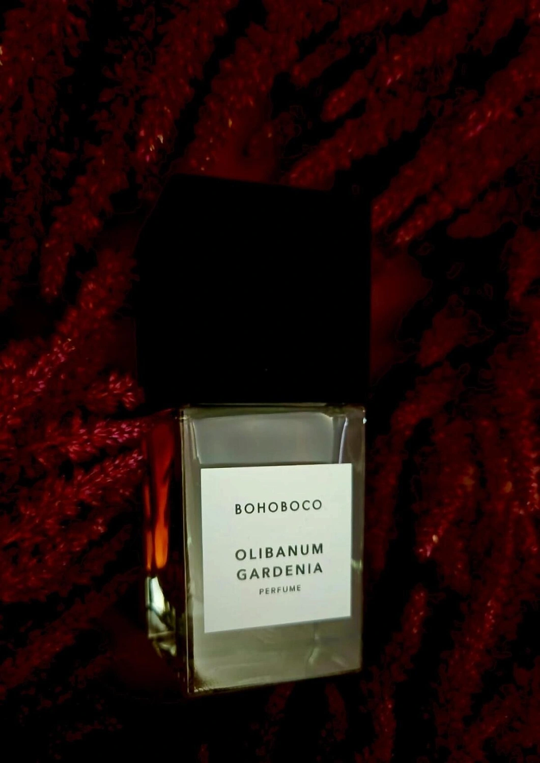 Bohoboco Olibanum Gardenia