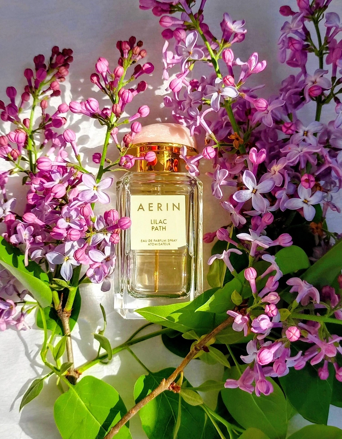 AERIN Lilac Path
