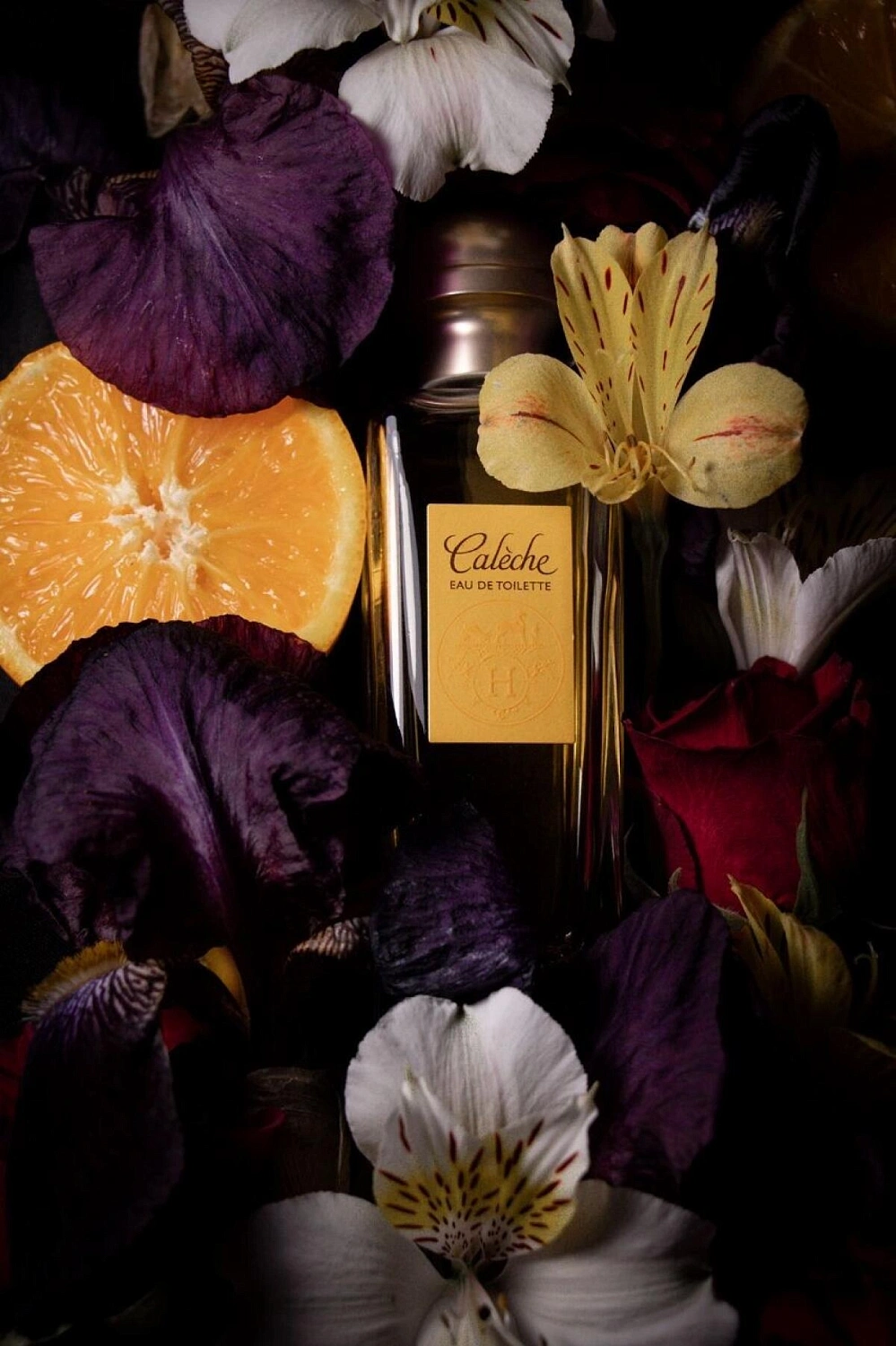 Hermes Caleche Hermes Caleche