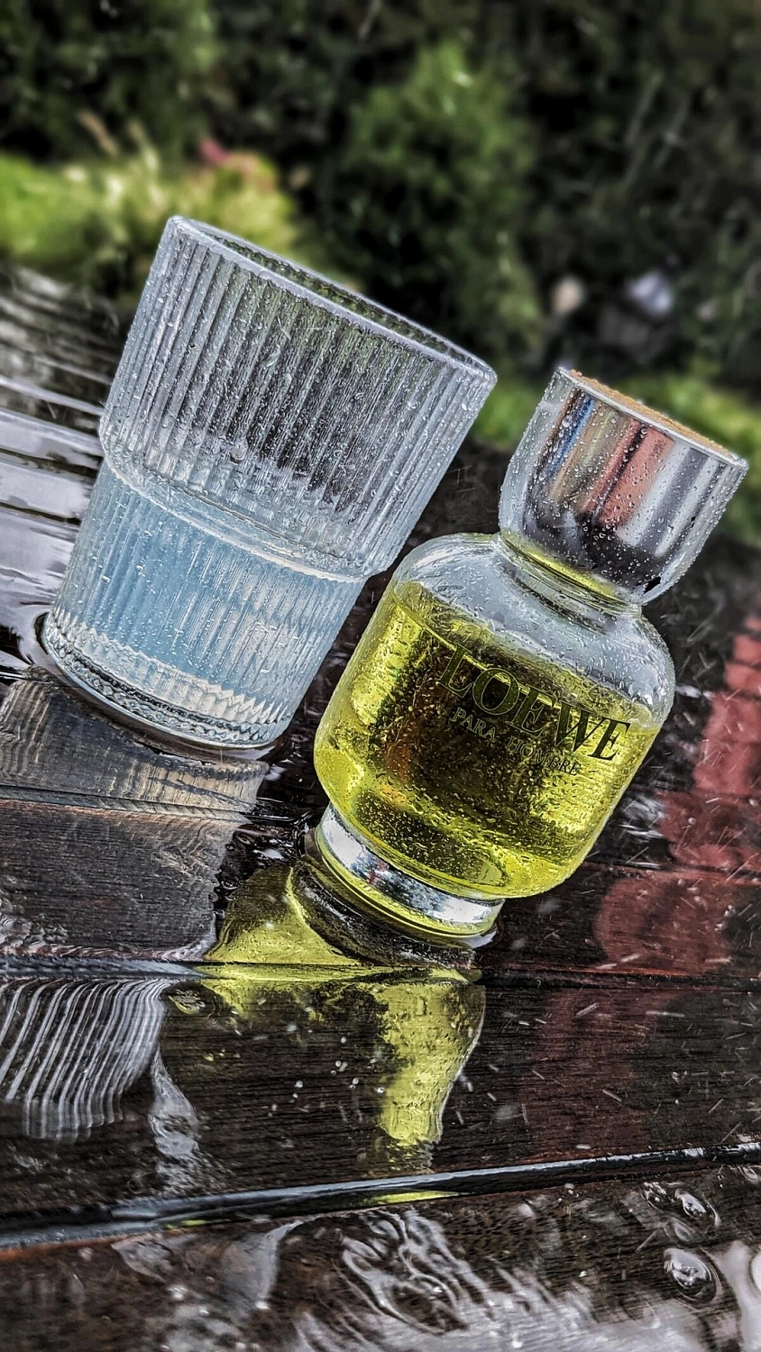 Loewe Pour Homme Loewe Pour Homme