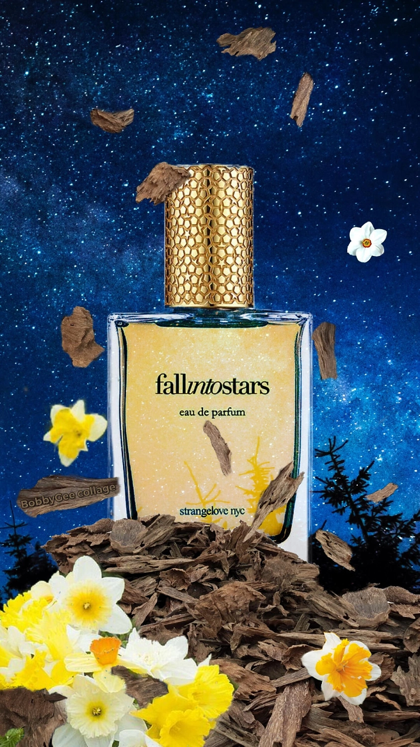 Strangelove NYC Fall Into Stars Strangelove NYC Fall Into Stars