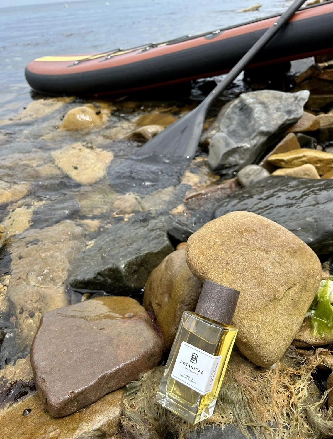 Botanicae Matin a Mogador