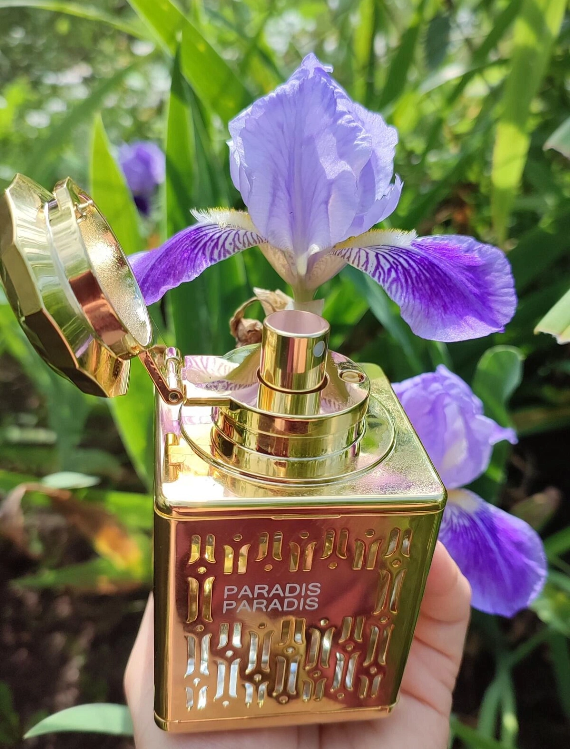 Atelier Flou Paradis Paradis