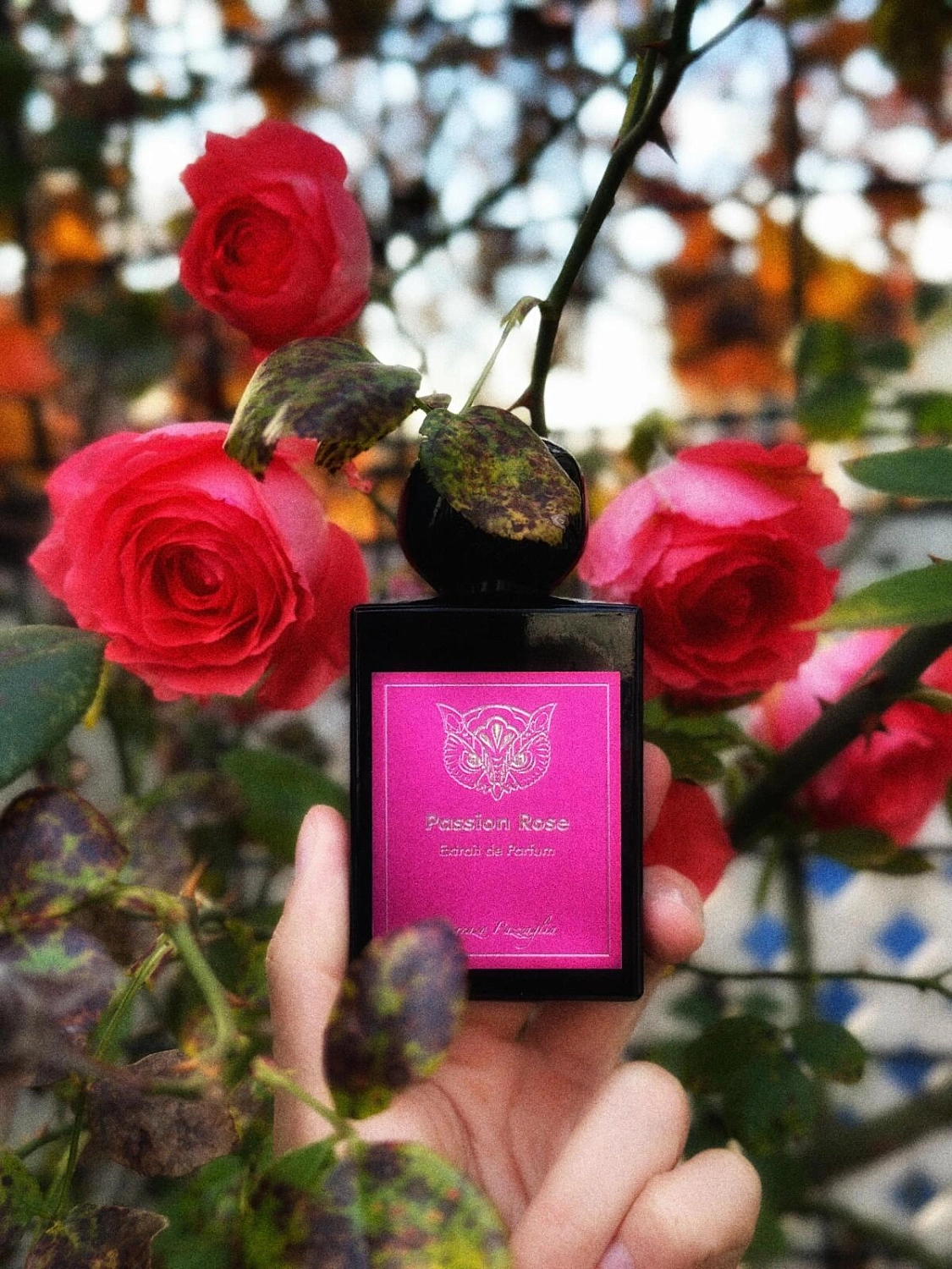 Lorenzo Pazzaglia Passion Rose