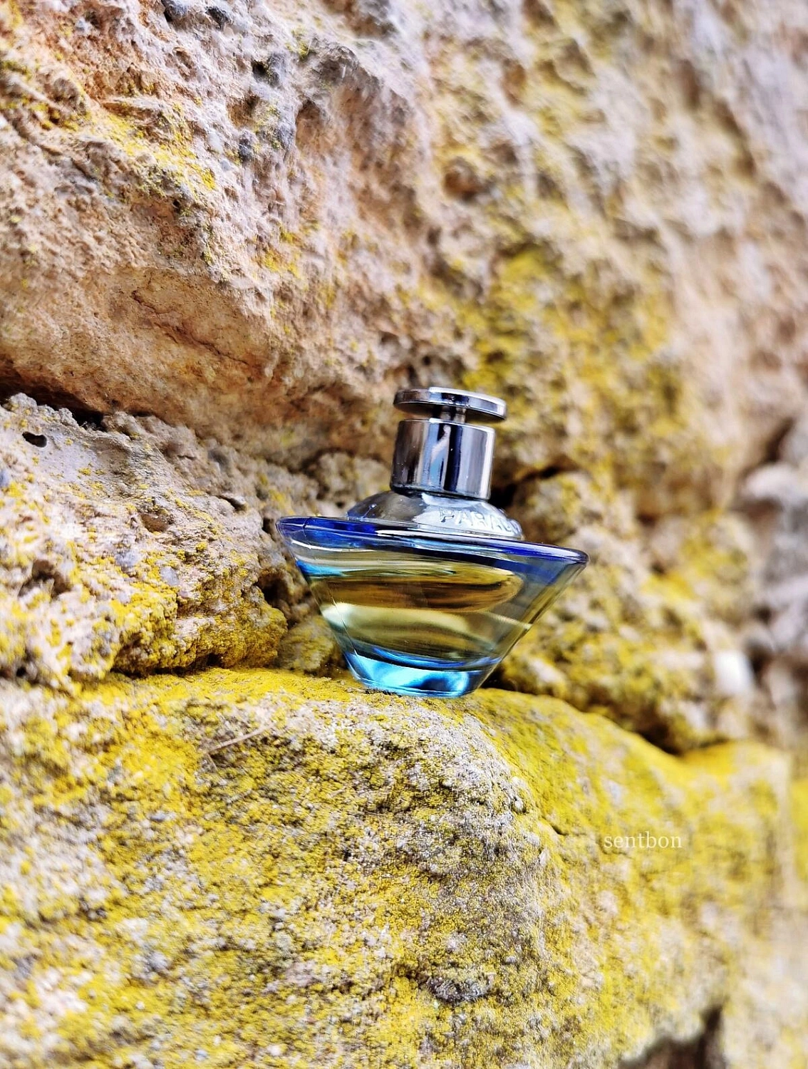 Jacomo Paradox Blue Jacomo Paradox Blue