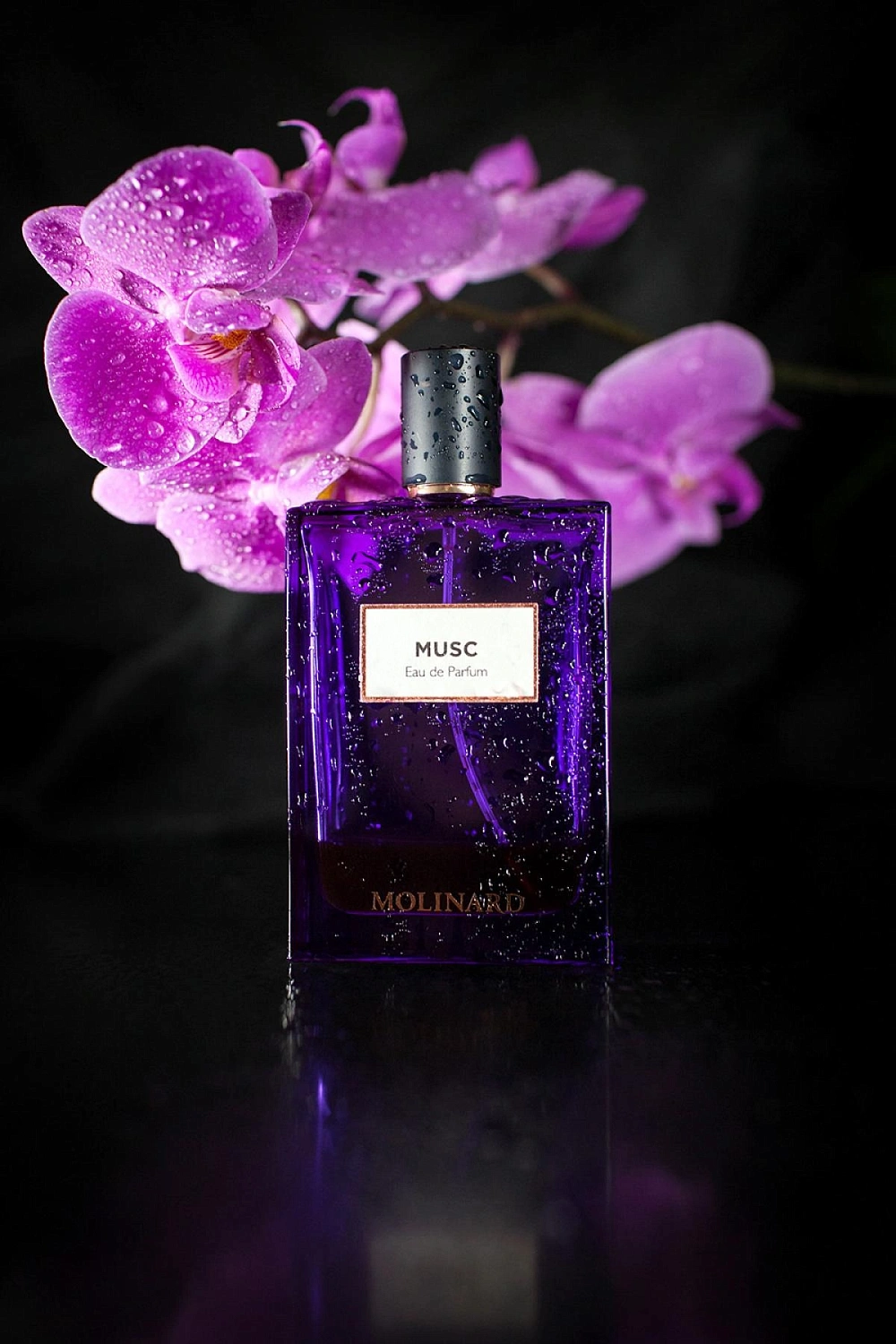 Molinard Musc Eau de Parfum Molinard Musc Eau de Parfum