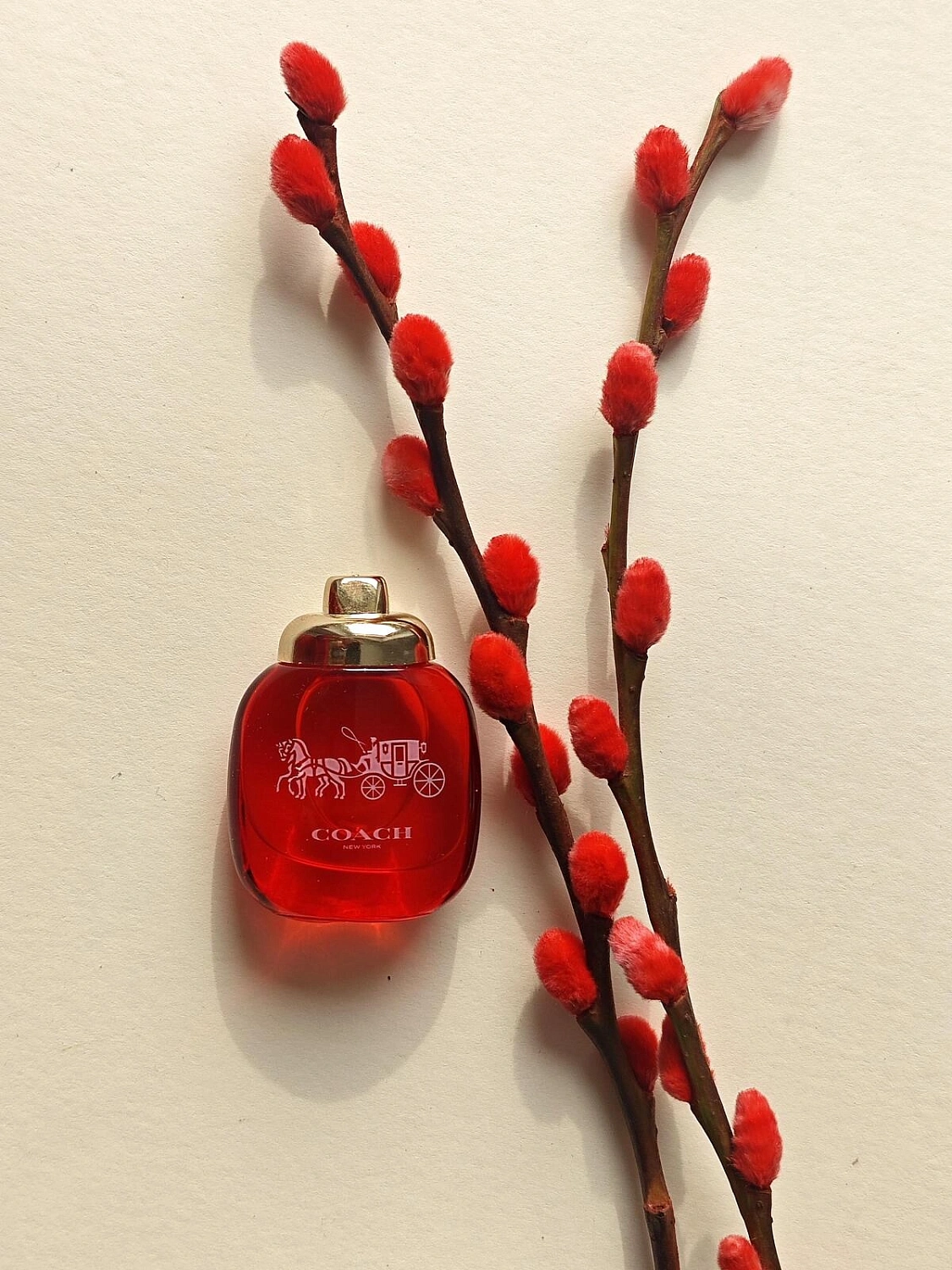 Coach Love Eau de Parfum