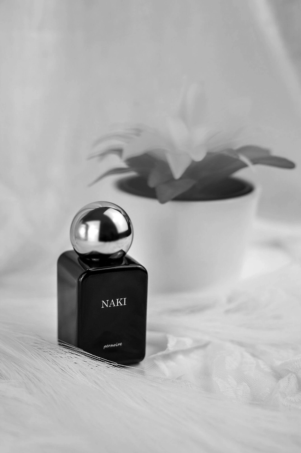 Pernoire Naki Pernoire Naki