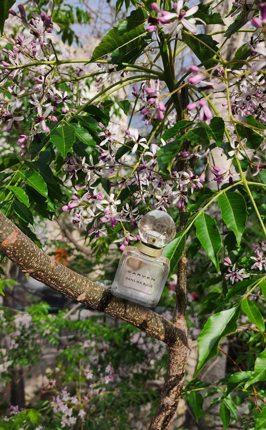 Carven Dans Ma Bulle