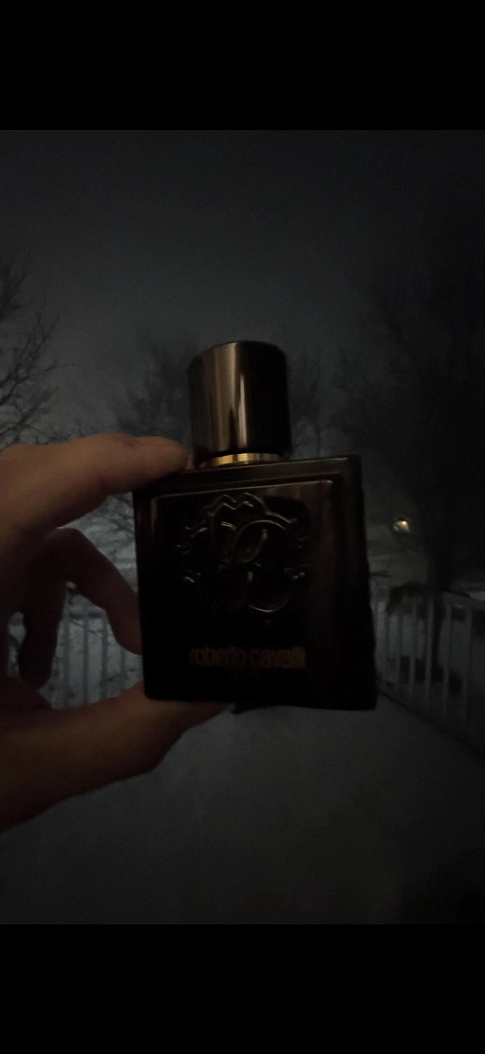 Roberto Cavalli Uomo Parfum