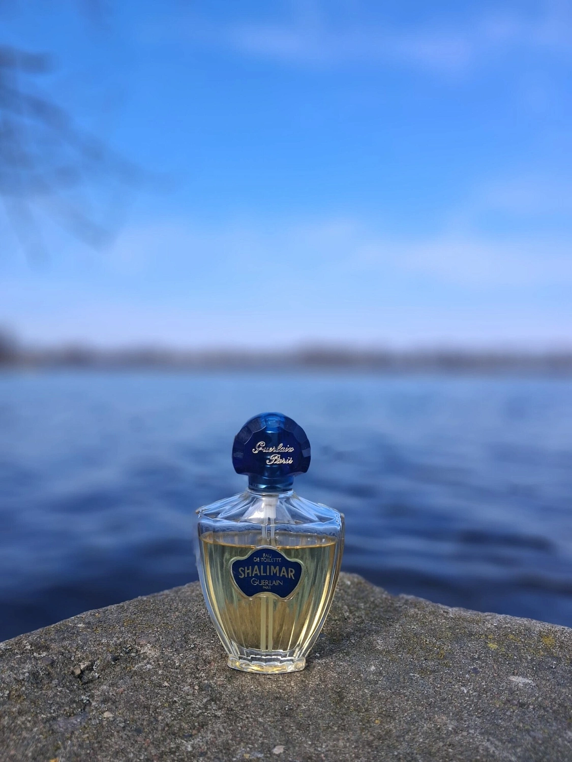 Guerlain Shalimar Eau de Cologne