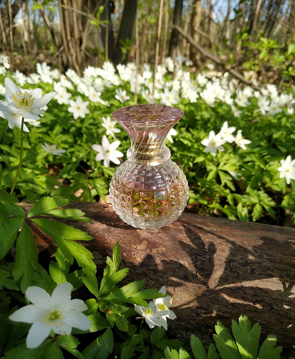 Marina de Bourbon Cristal Royal Rose