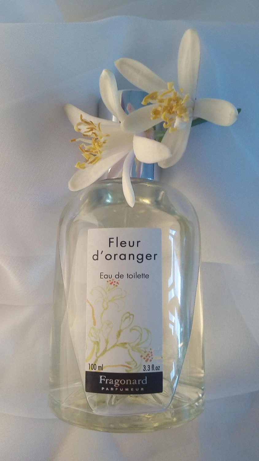Fragonard Fleur D'Oranger