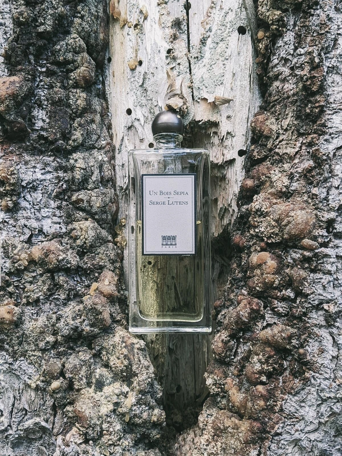 Serge Lutens Un Bois Sepia