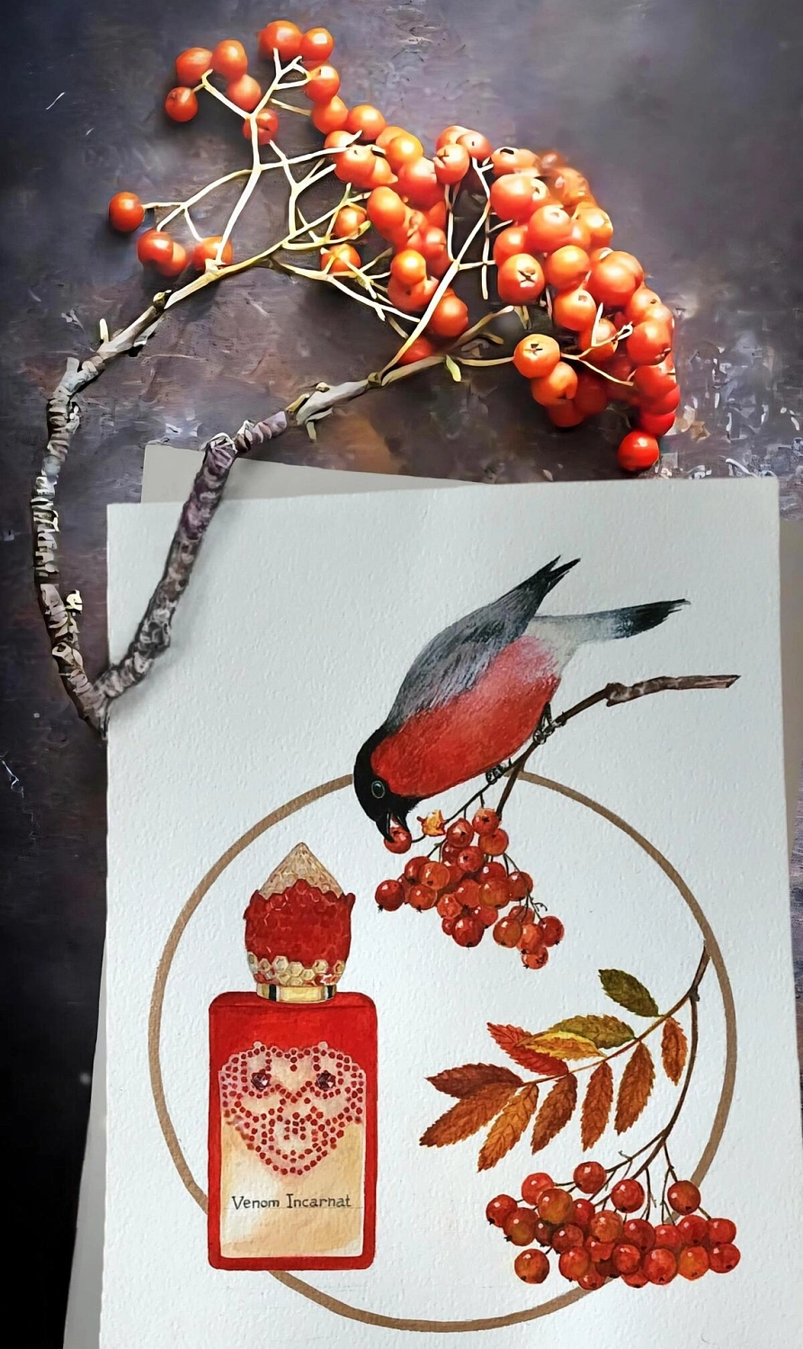 Stephane Humbert Lucas 777 Venom Incarnat