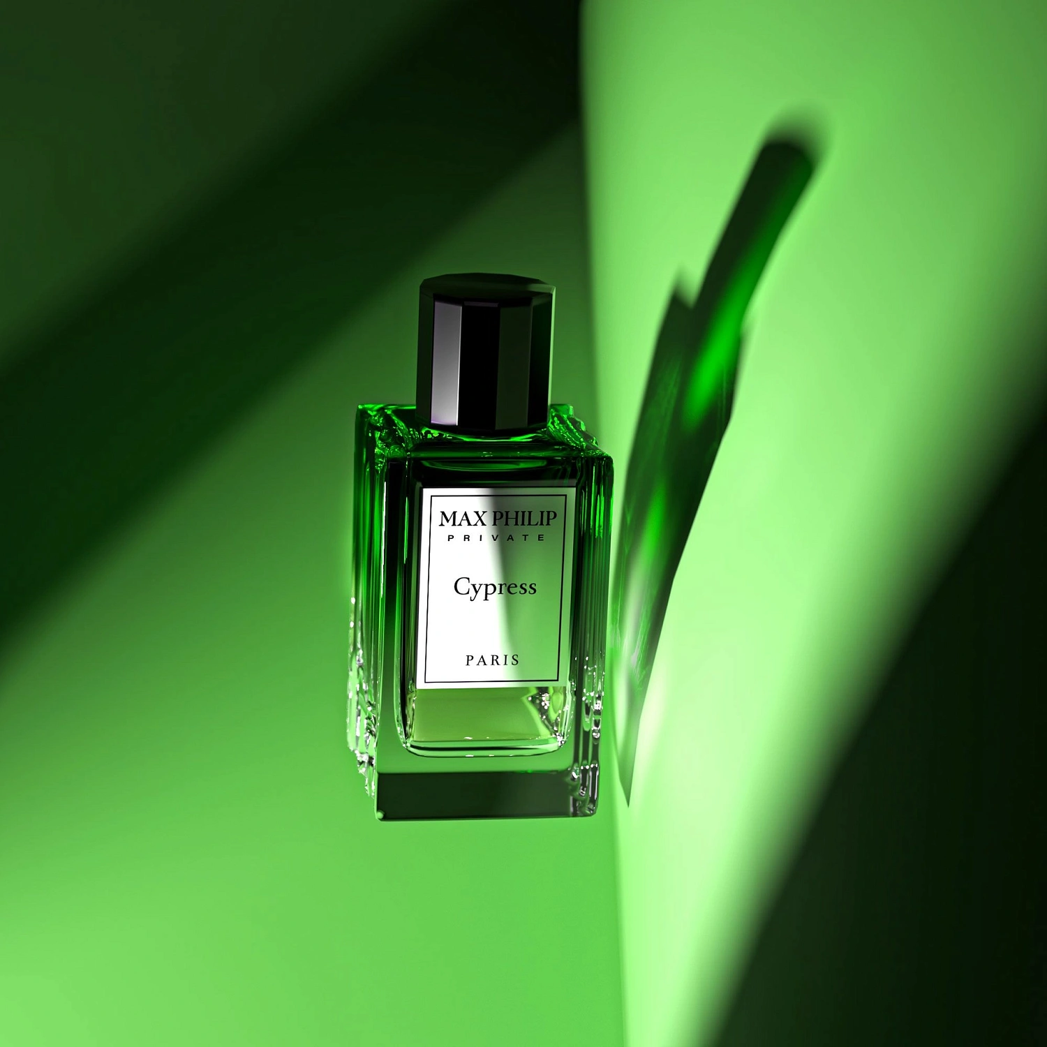 Max Philip Cypress