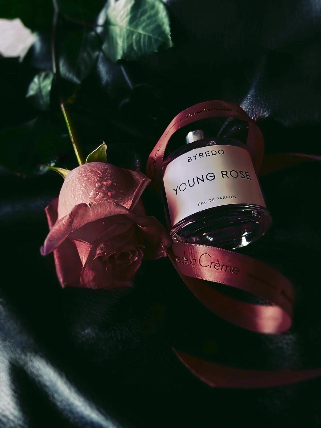 BYREDO Young Rose