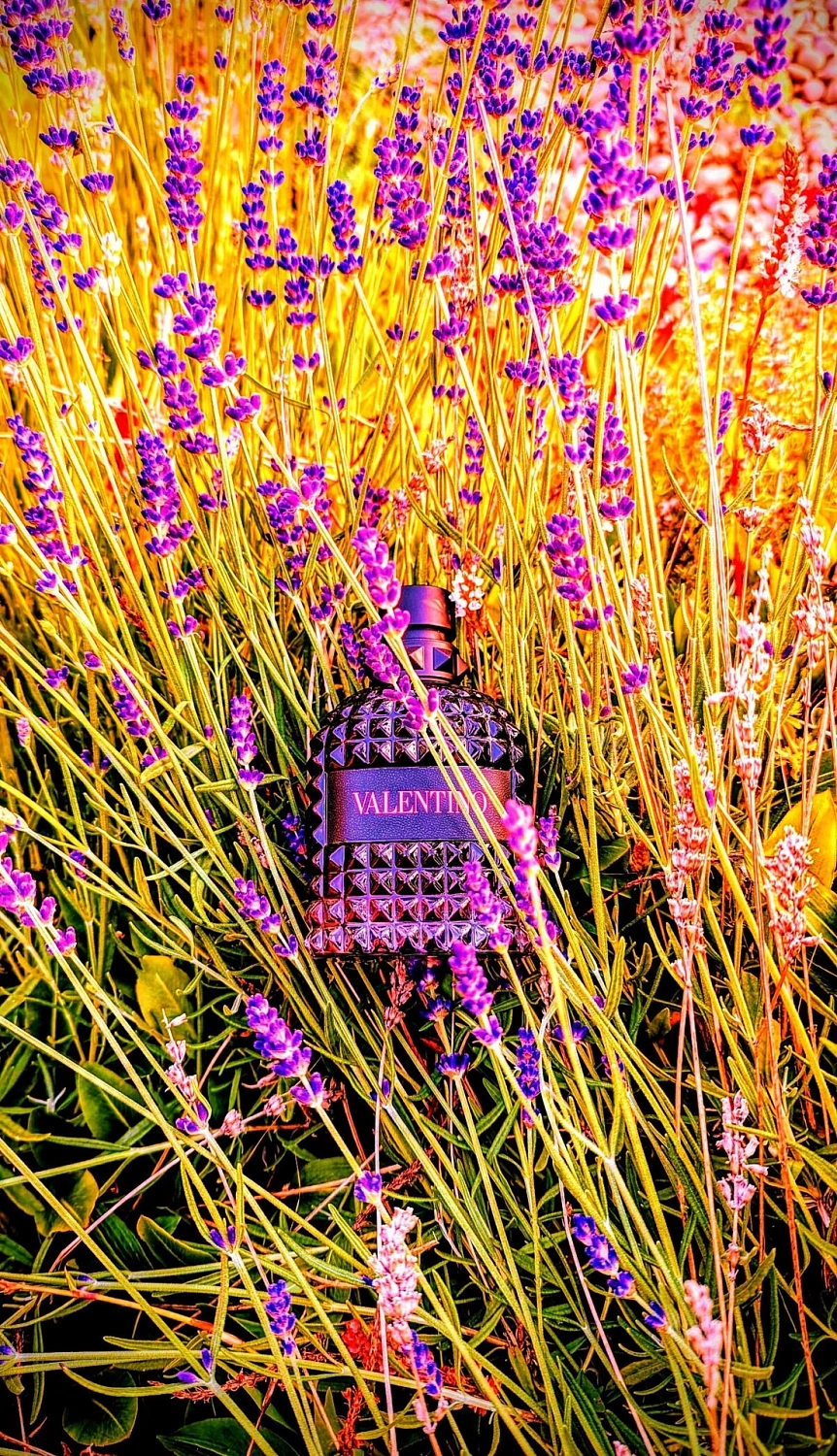 Valentino Uomo Born In Roma Intense