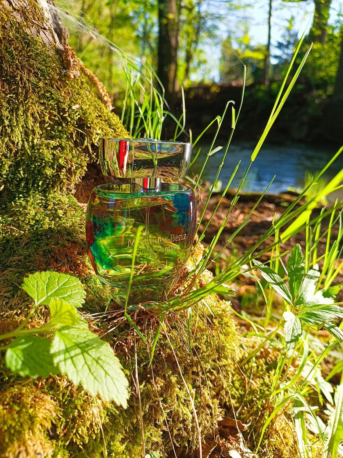 Mercedes-Benz Floral Fantasy