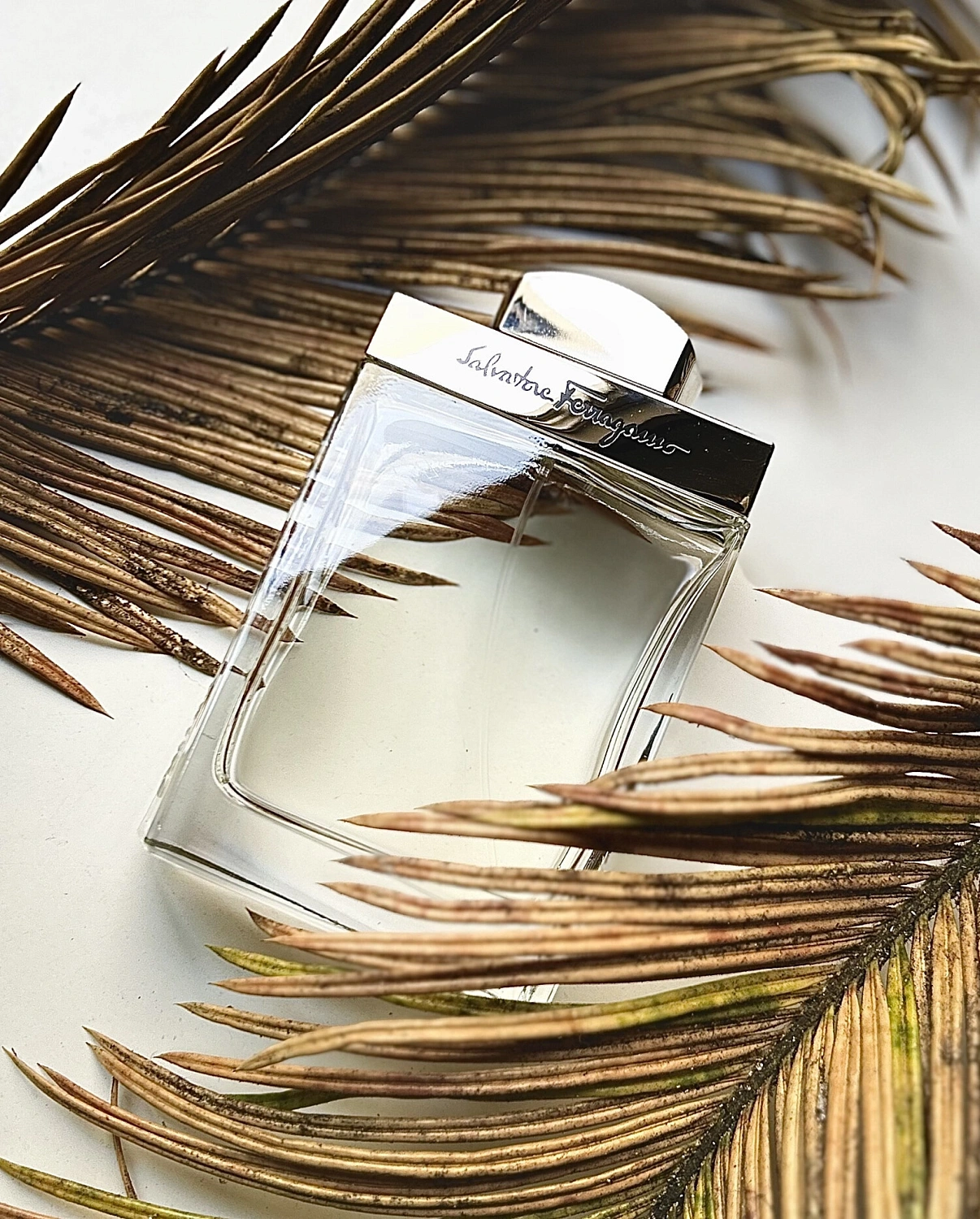 Salvatore Ferragamo pour Homme