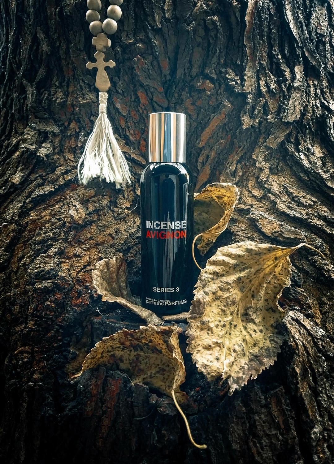 Comme des Garcons Series 3: Avignon