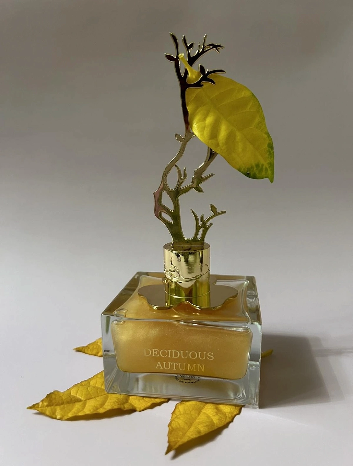 Aurora Scents Deciduous Autumn