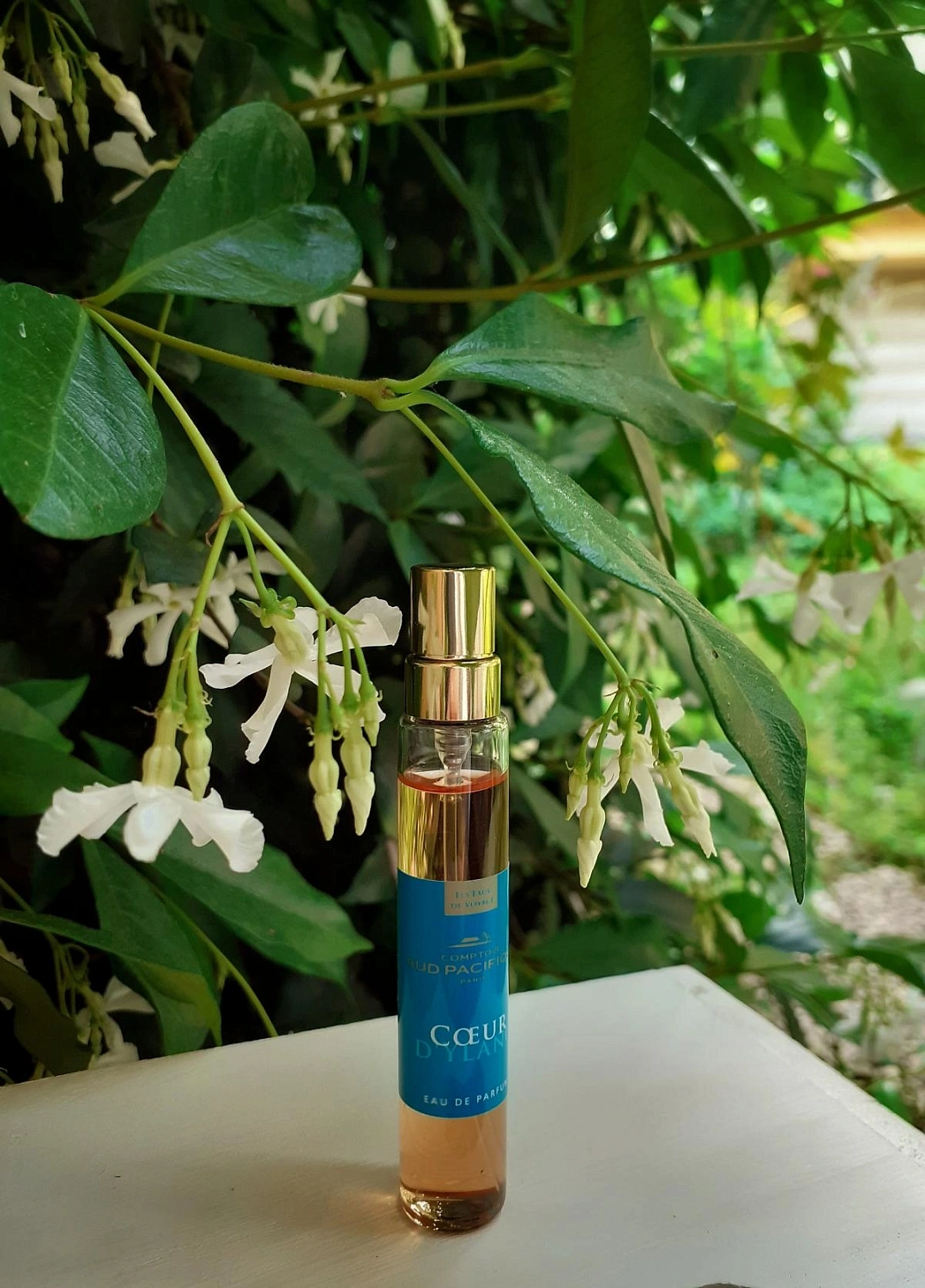 Comptoir Sud Pacifique Coeur d'Ylang