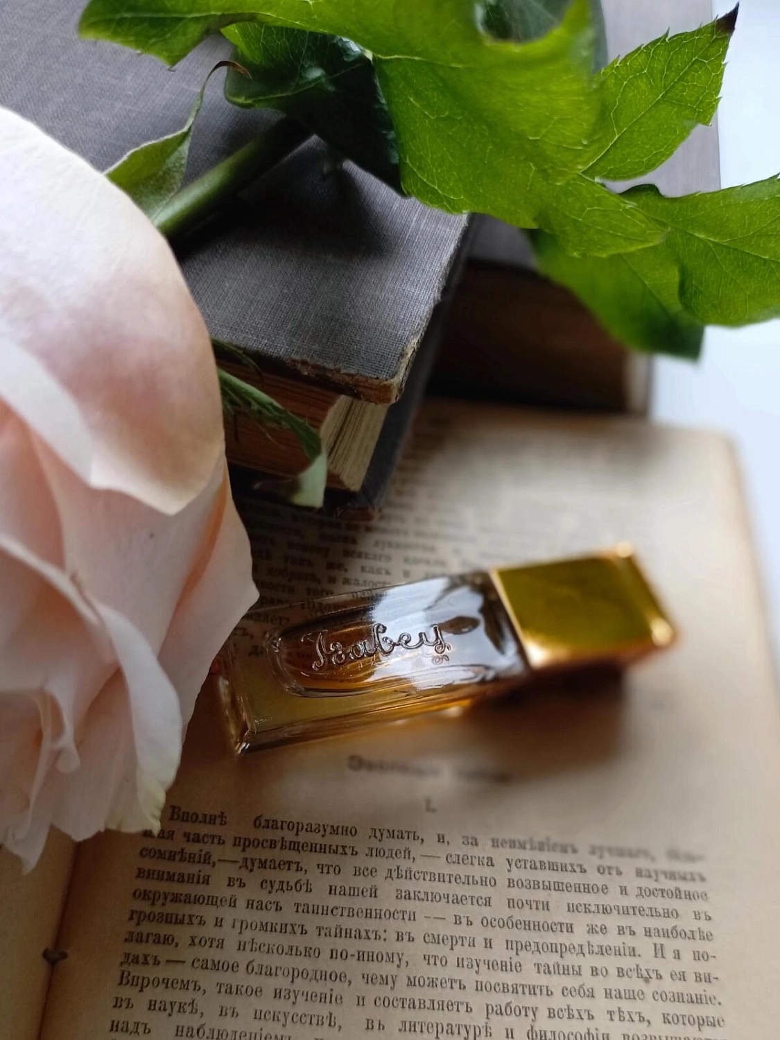 Panouge Isabey La Route d’Emeraude