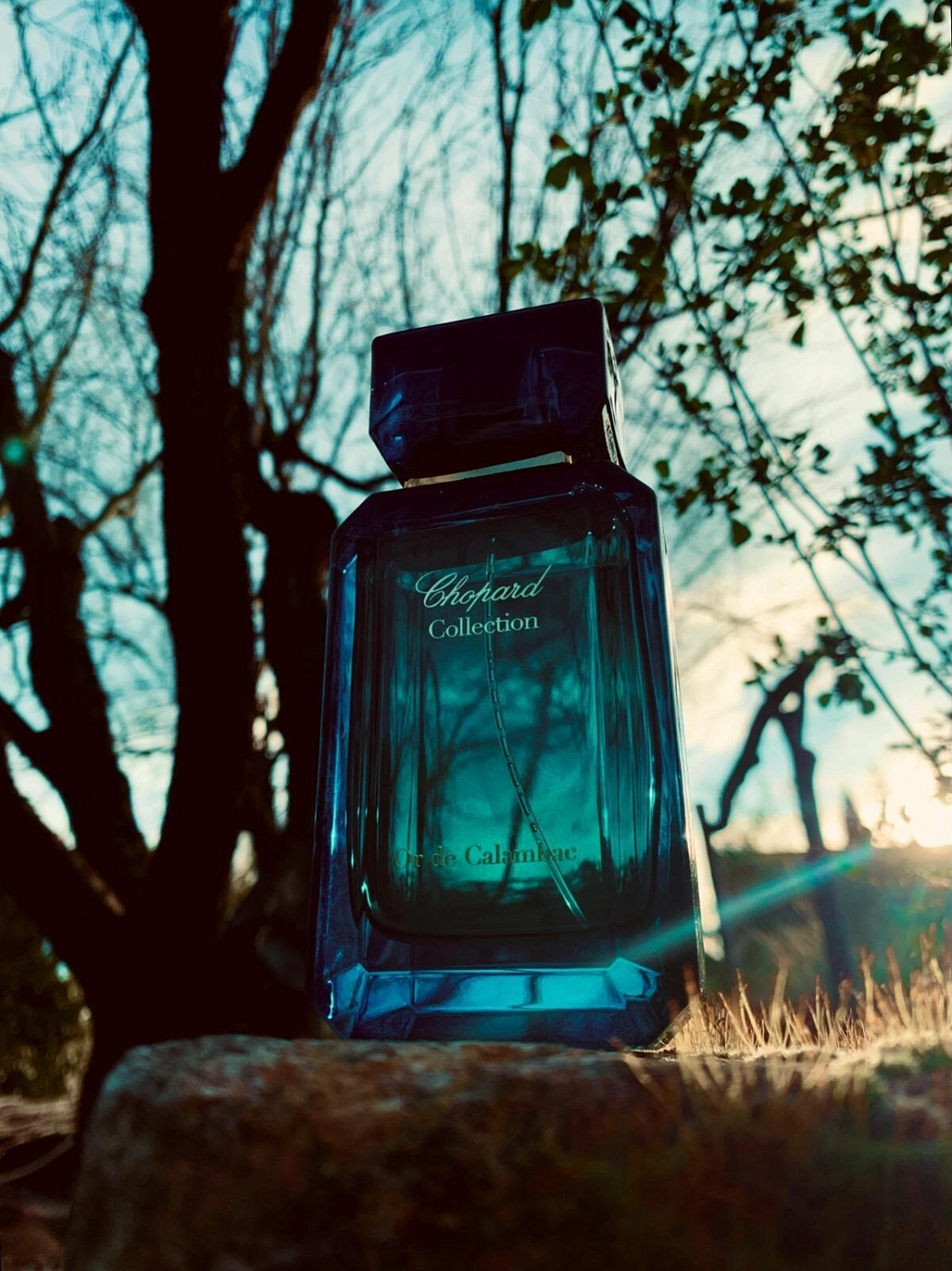 Chopard Or De Calambac