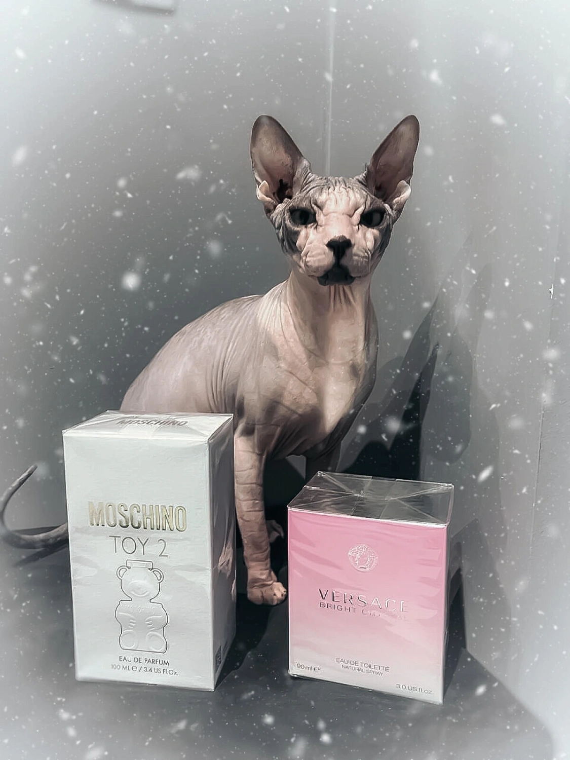 Versace Bright Crystal