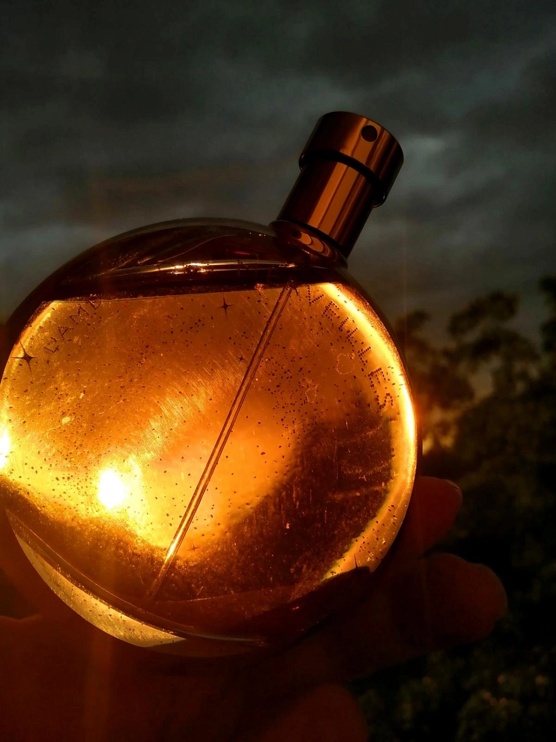 Hermès L'Ambre des Merveilles