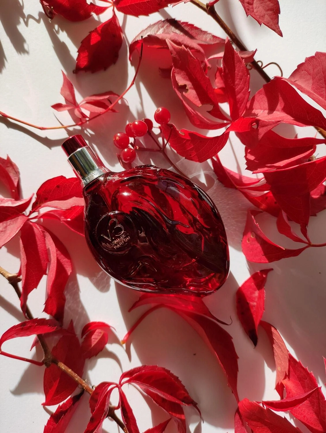 Map Of The Heart V.3 Passion