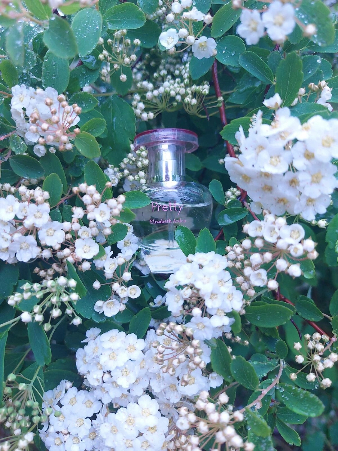 Elizabeth Arden Pretty