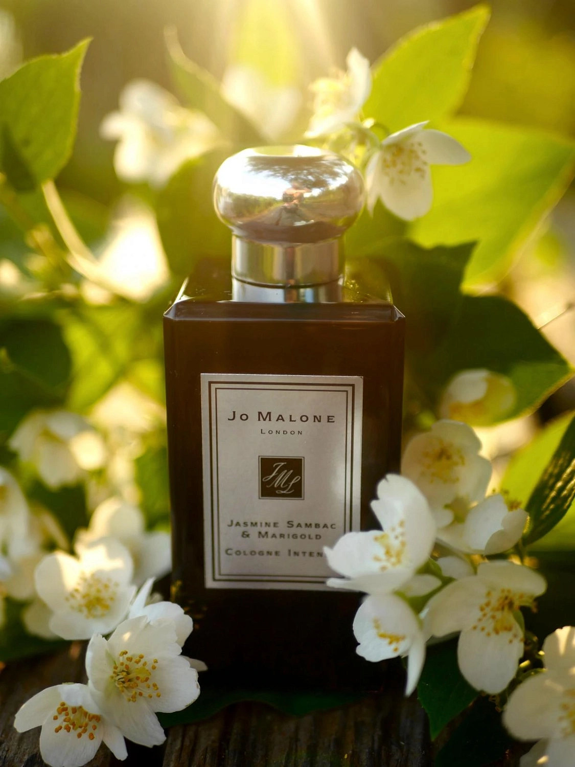 Jo Malone Jasmine Sambac & Marigold