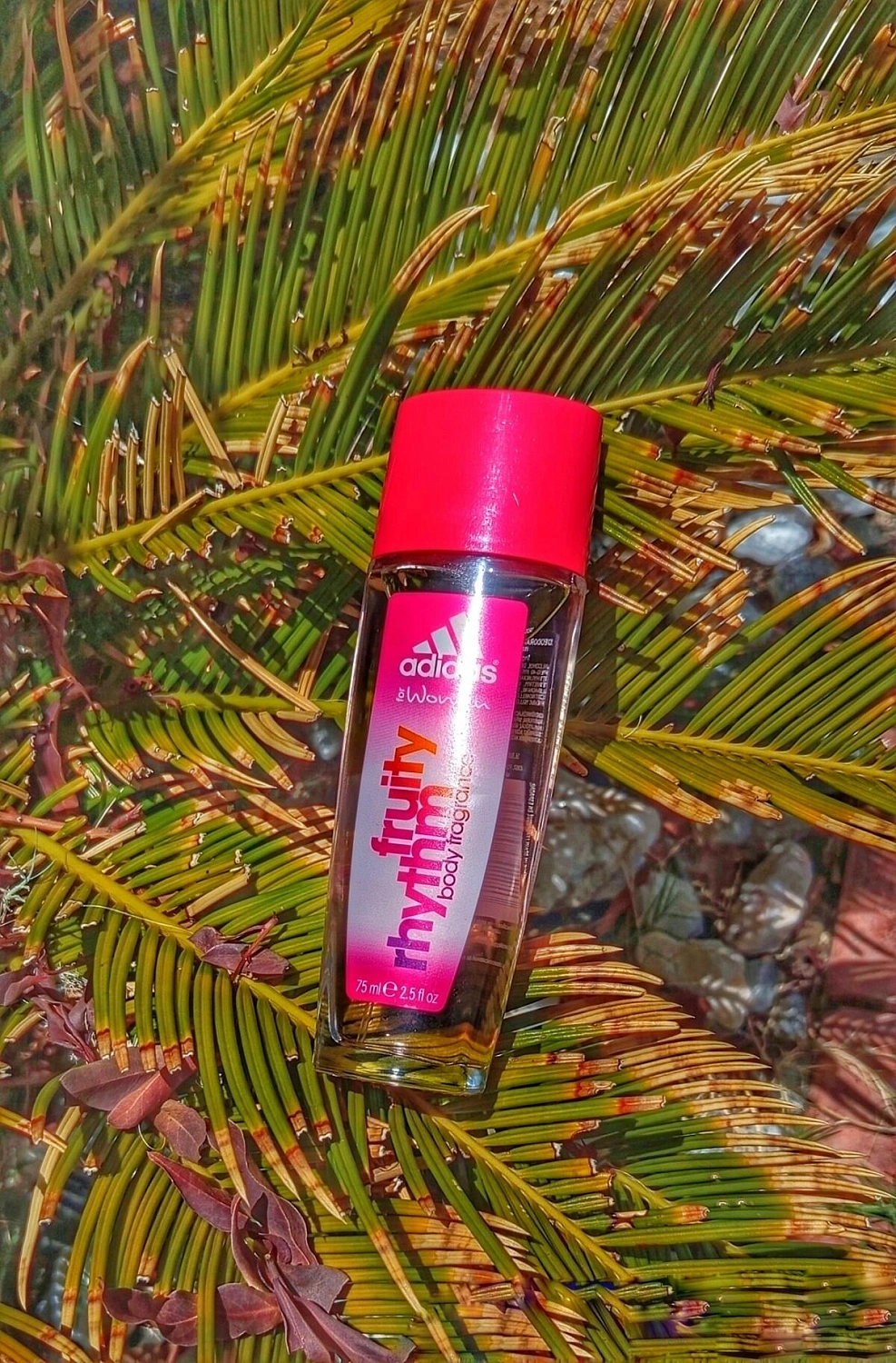 Adidas Fruity Rhythm