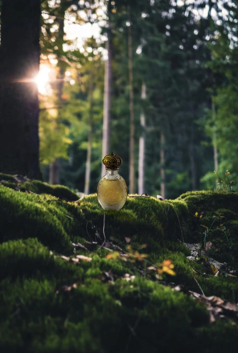 Juicy Couture Couture Couture