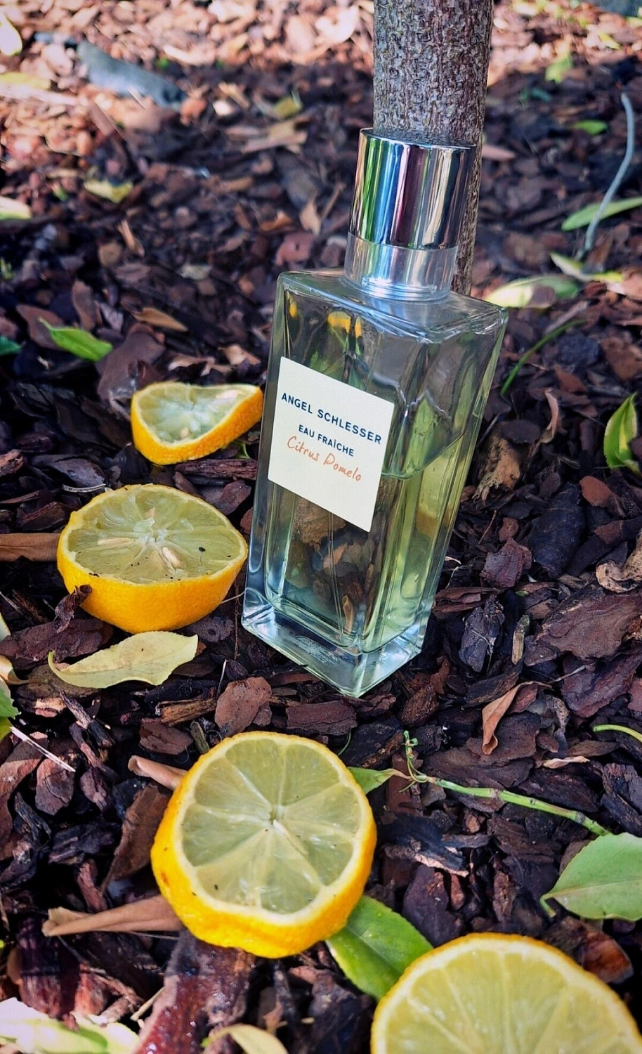 Angel Schlesser Eau Fraiche Citrus Pomelo Angel Schlesser Eau Fraiche Citrus Pomelo