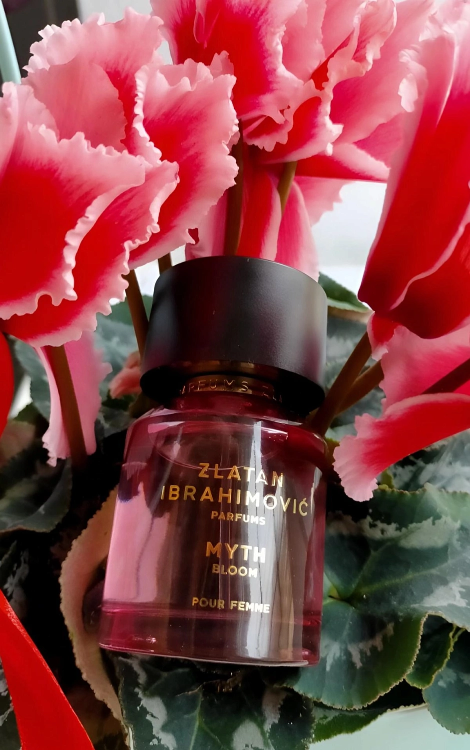 Zlatan Ibrahimovic Parfums Myth Bloom Zlatan Ibrahimovic Parfums Myth Bloom