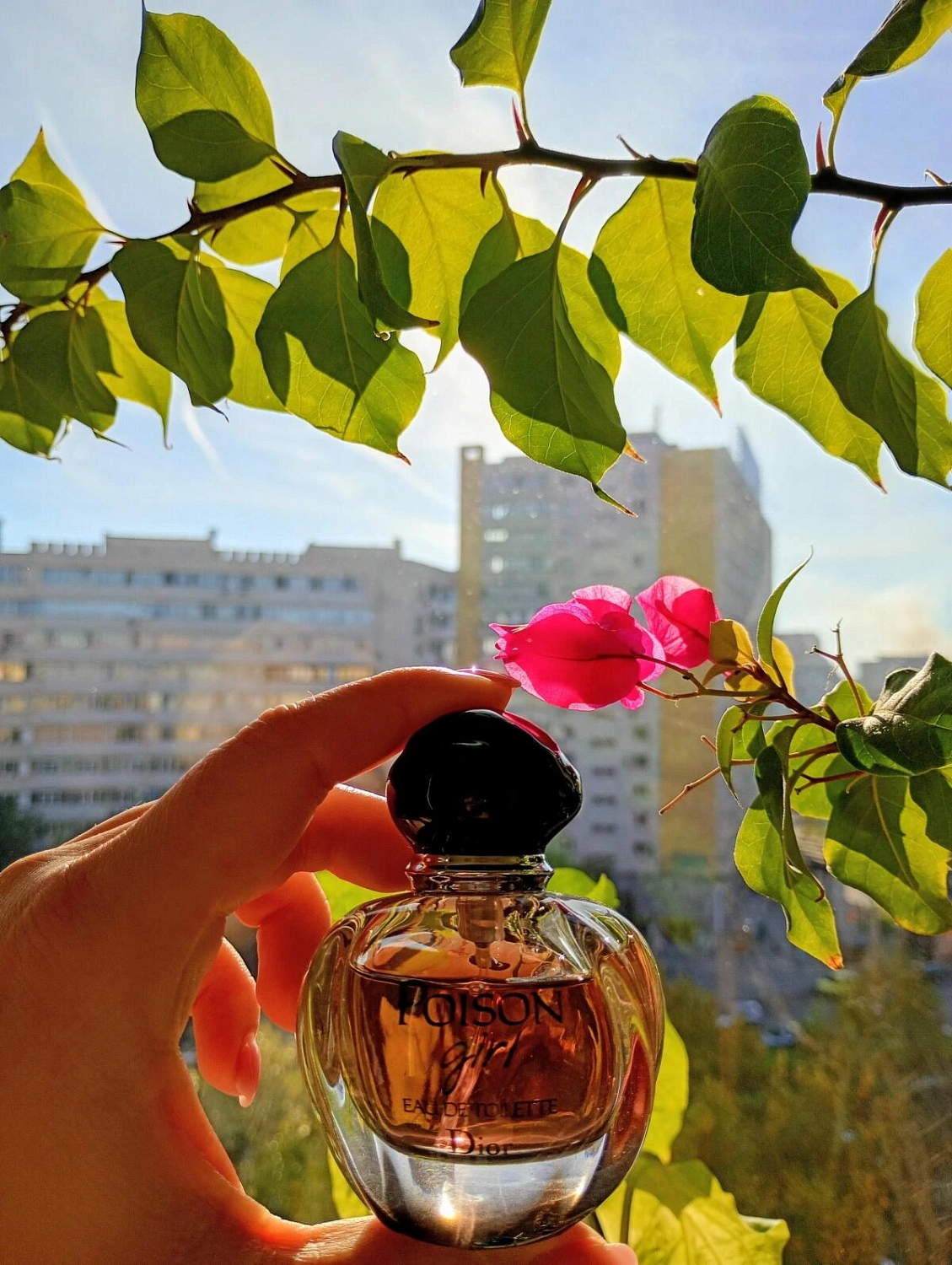 Christian Dior Poison Girl Eau De Toilette