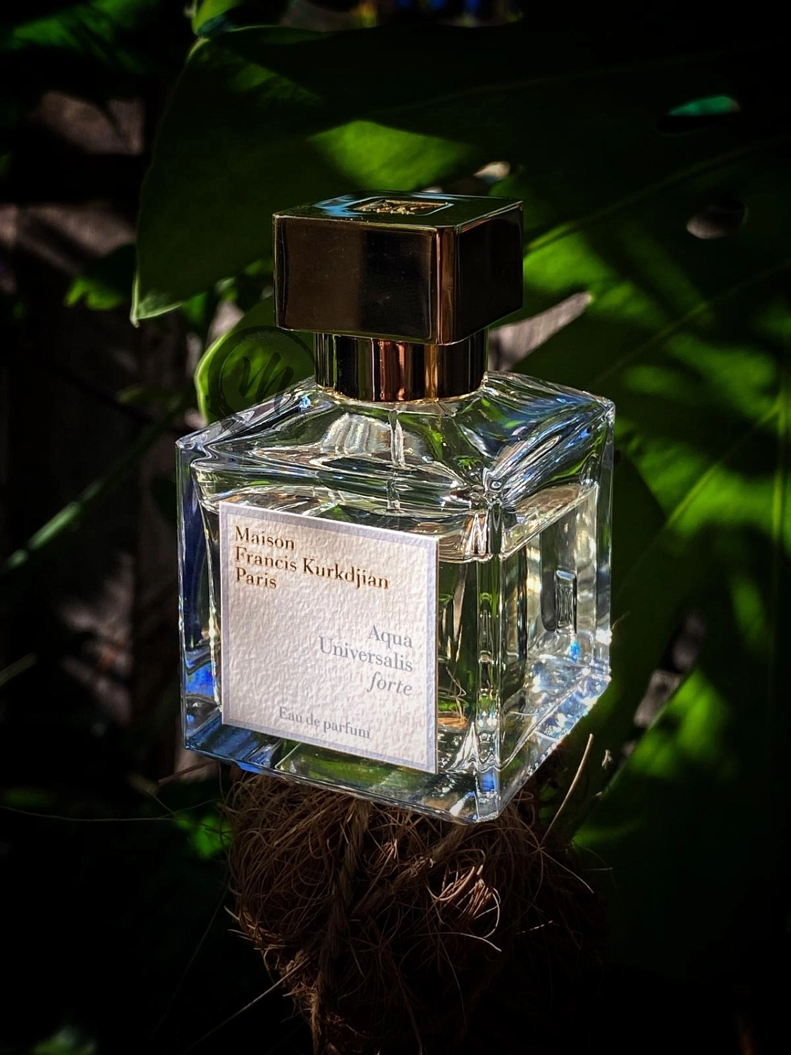 Maison Francis Kurkdjian Aqua Universalis Forte