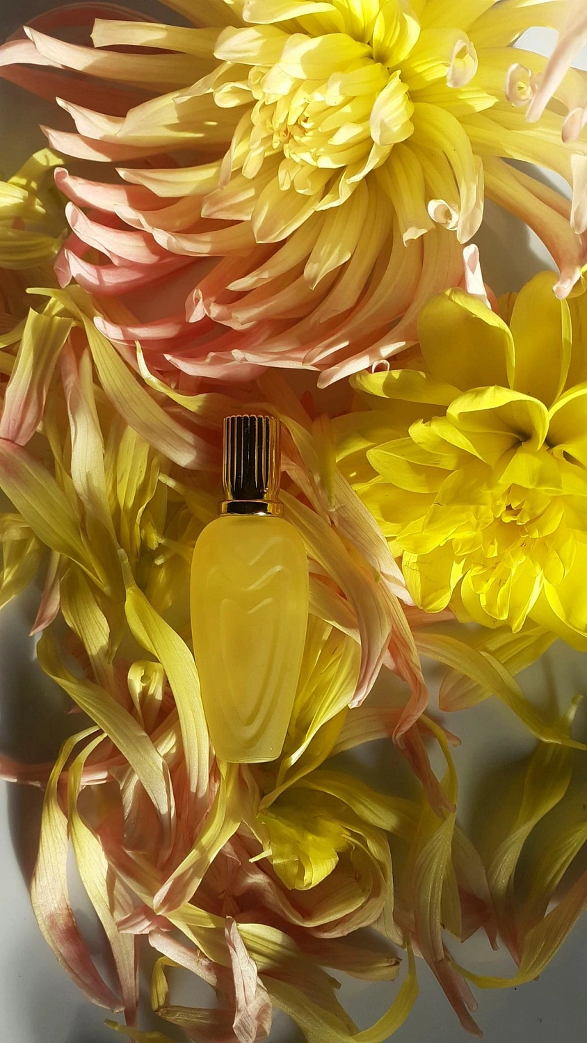 Escada Jardin de Soleil