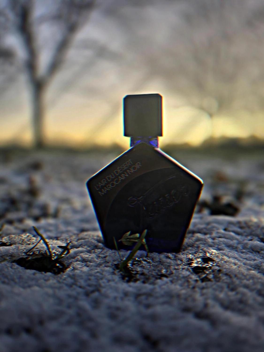 Tauer Perfumes L'Air Du Desert Marocain Noir