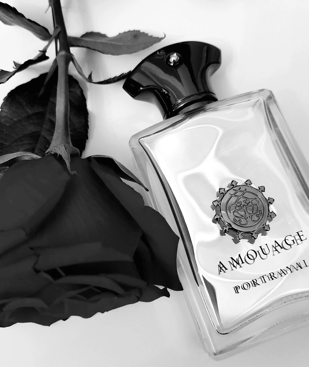Amouage Portrayal Man
