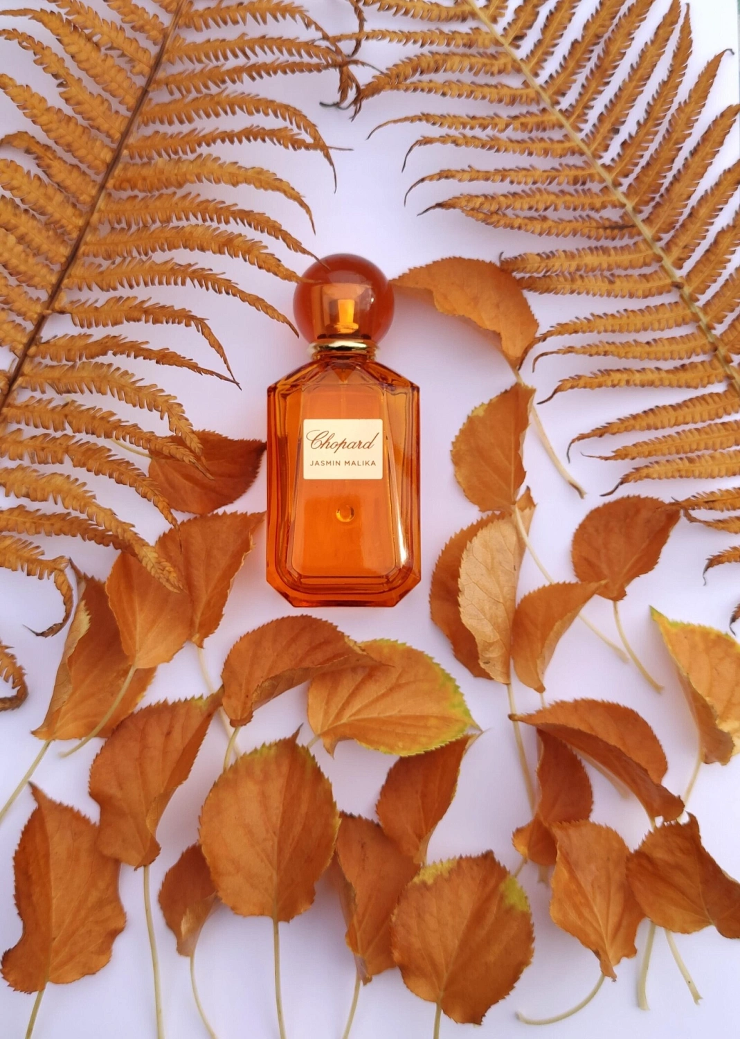 Chopard Jasmin Malika